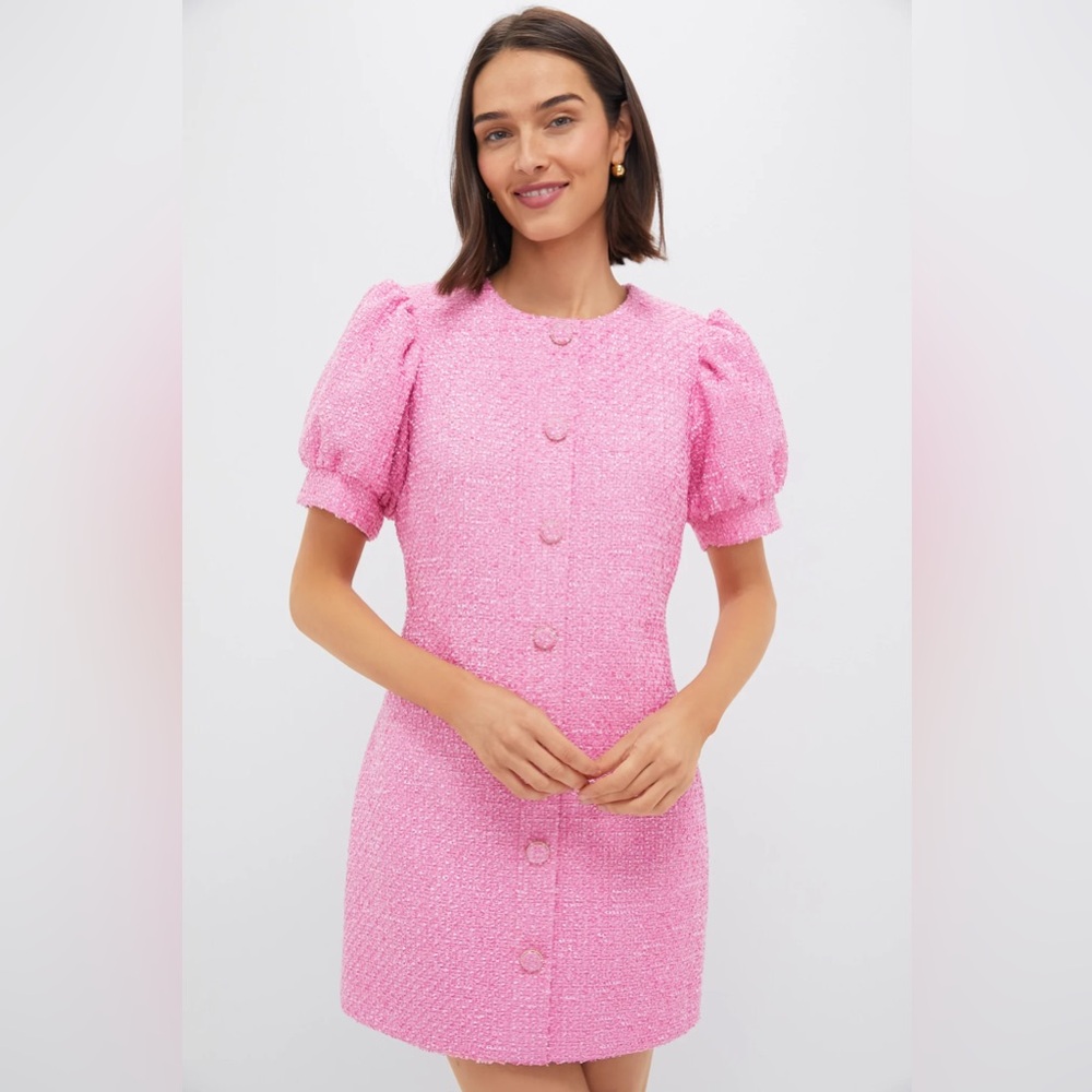 Tuckernuck Hyacinth House Pink Puff Sleeve Dress NWT XXL